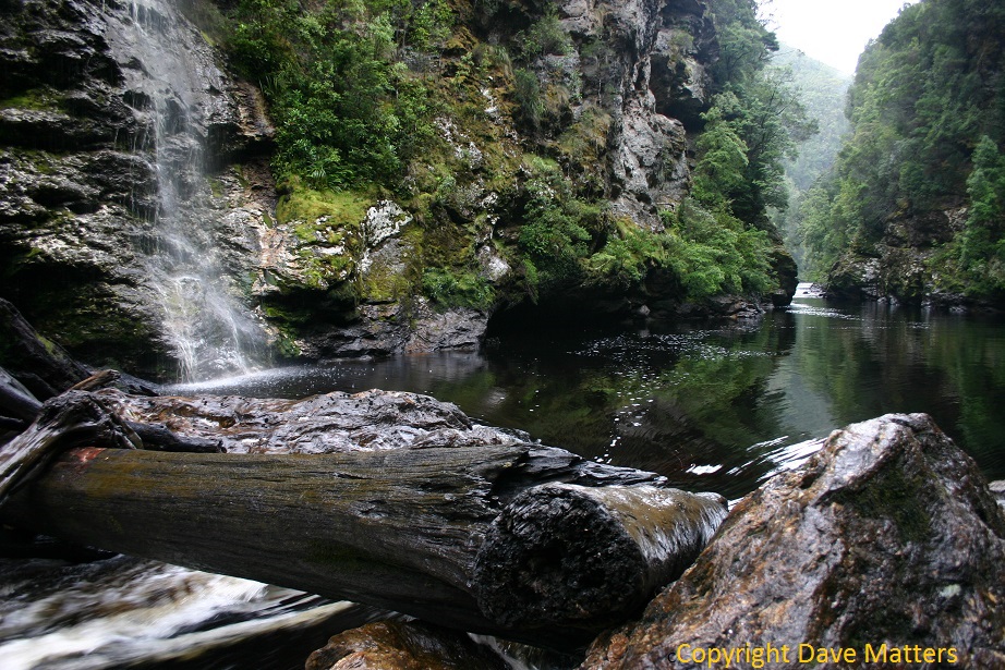 Franklin River Expedition | Wild Exposure Inc