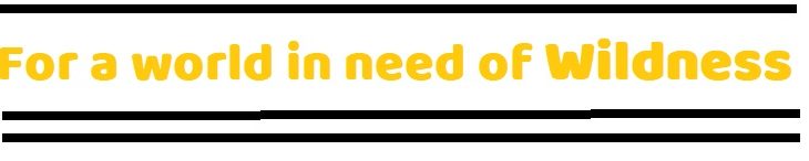 Denison River Expedition | Wild Exposure Inc