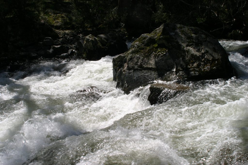 Upper Caledonia River | Wild Exposure Inc