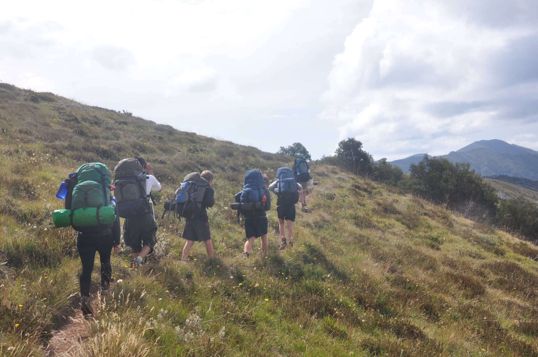 The Feathertop Alpine Experience | Wild Exposure Inc