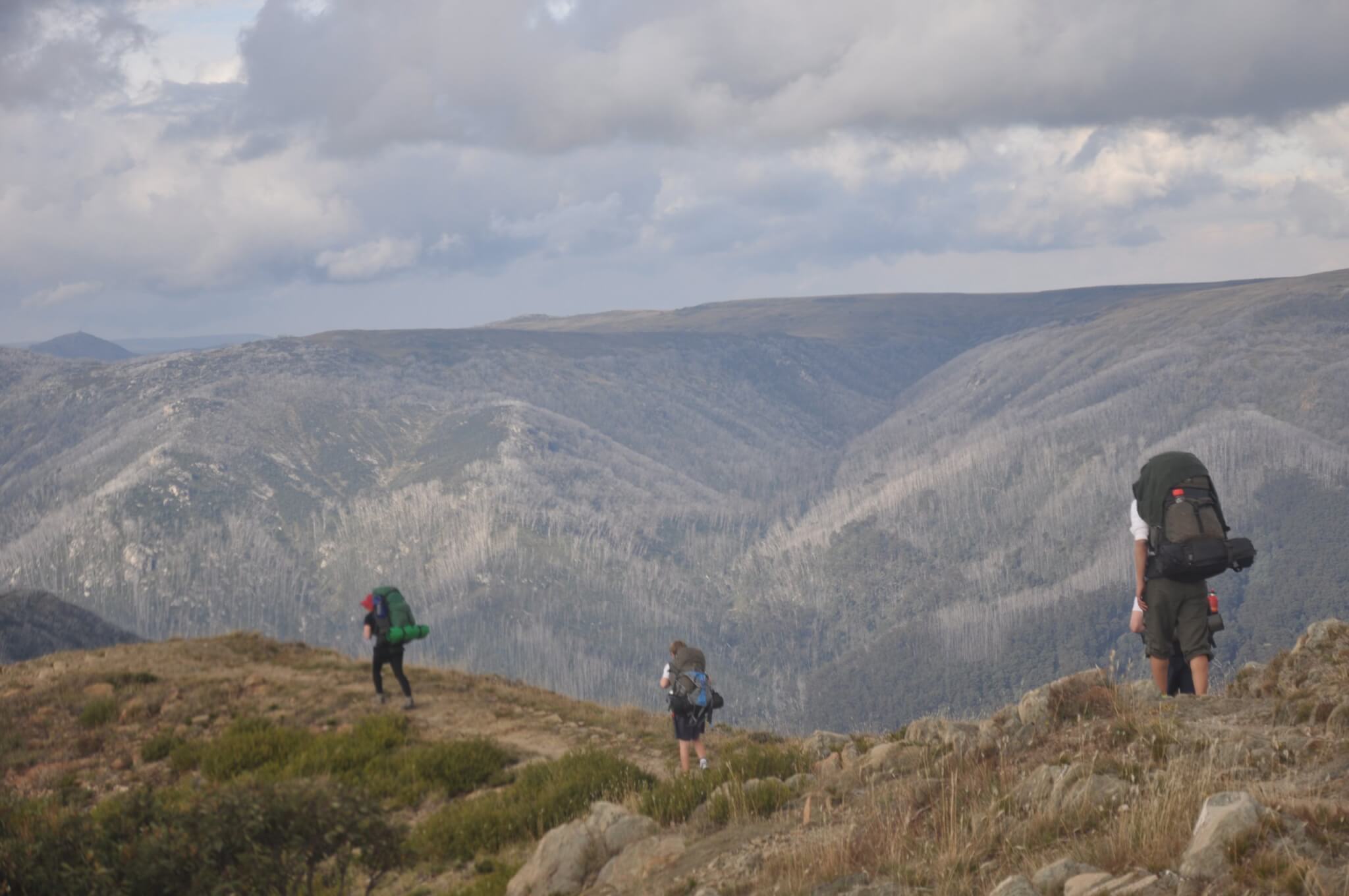 The Feathertop Alpine Experience | Wild Exposure Inc