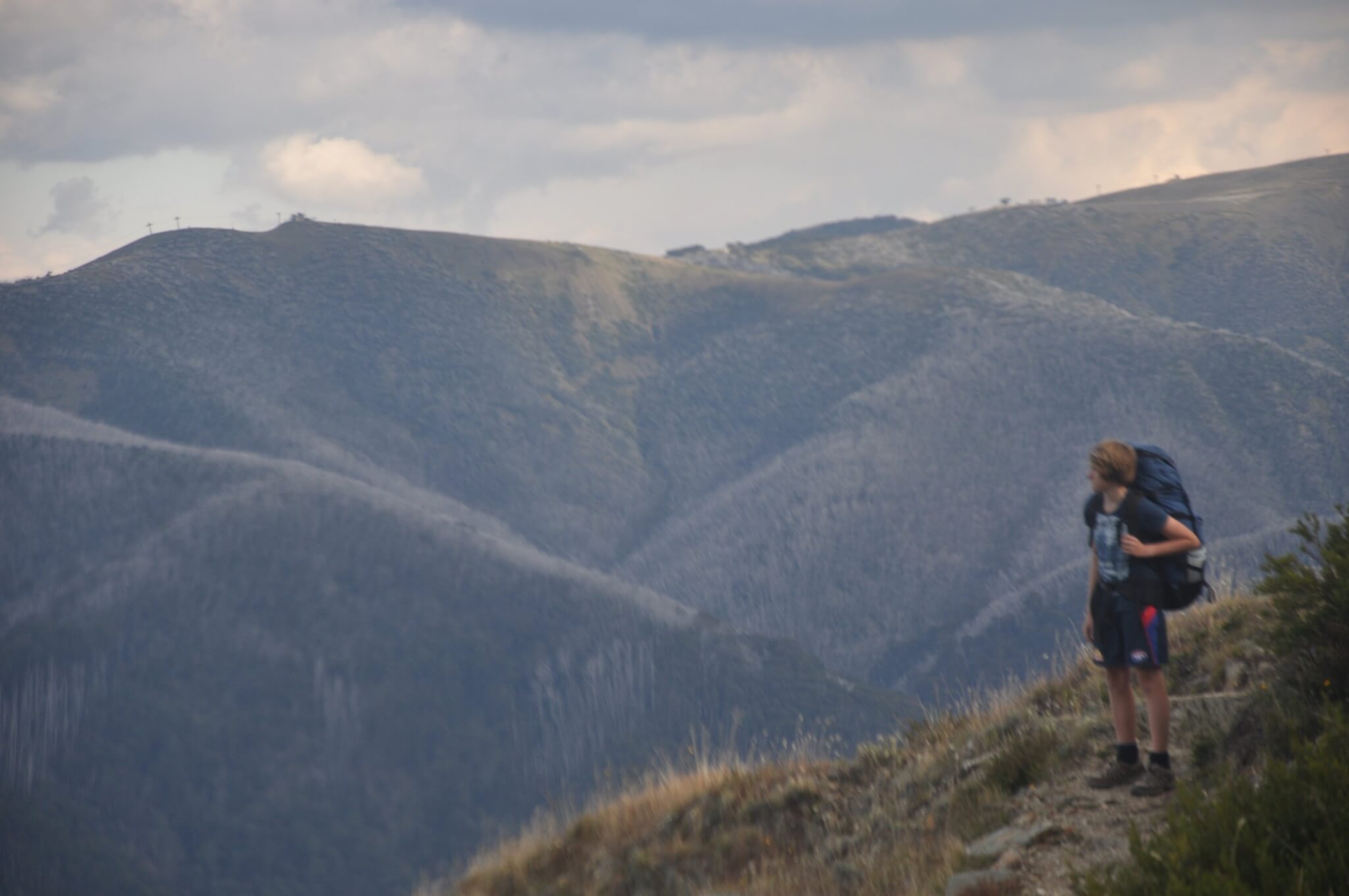 The Feathertop Alpine Experience | Wild Exposure Inc