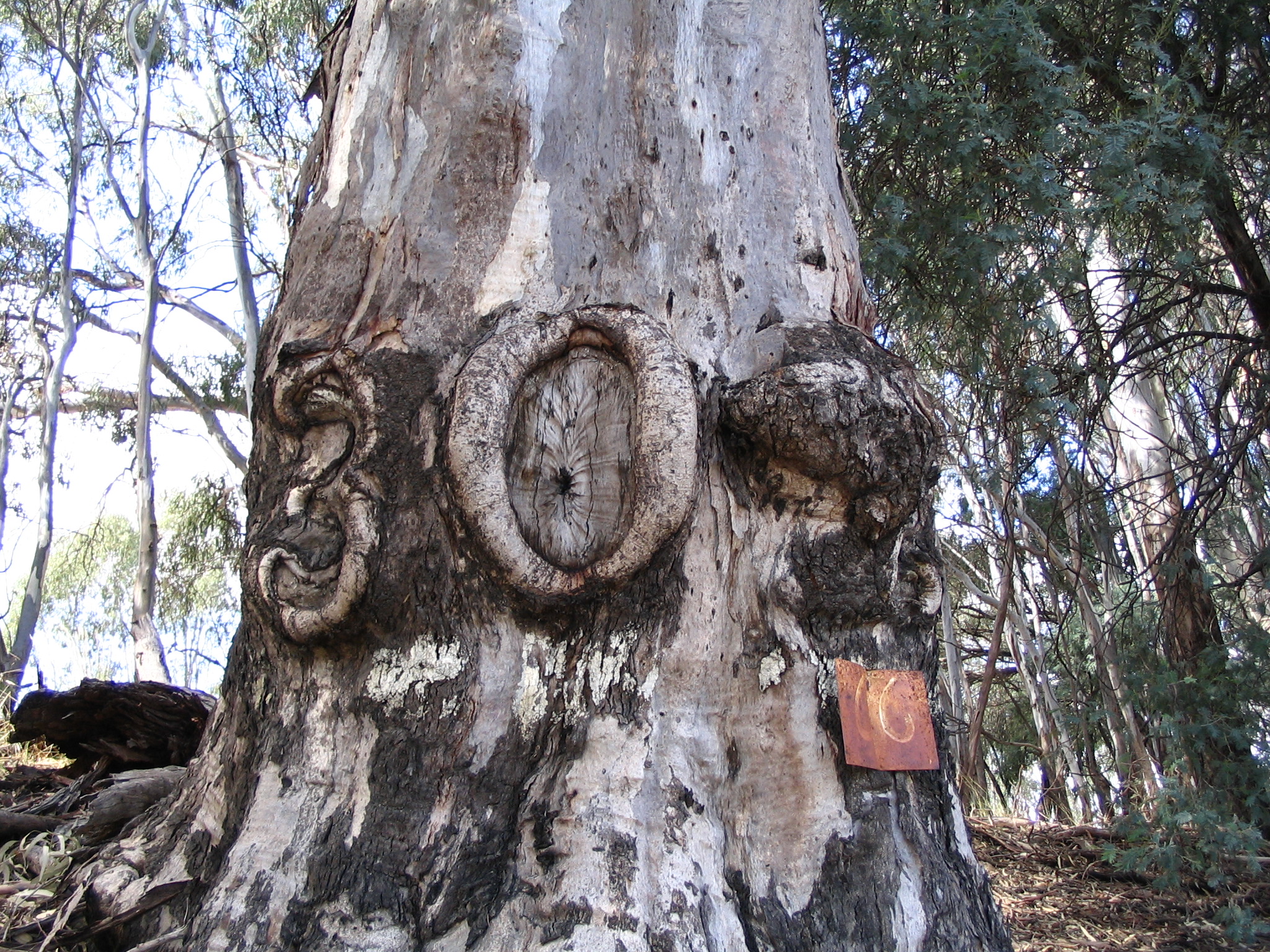Murray River Culture Journey | Wild Exposure Inc