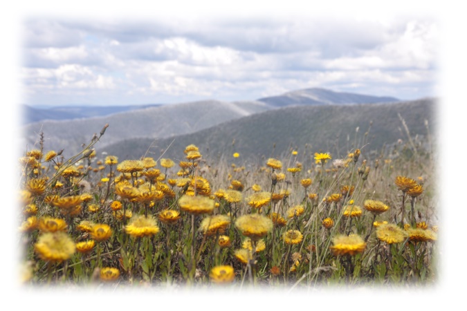 Mountains to Munjie | Wild Exposure Inc