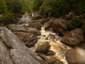 Gordon River Splits | Wild Exposure Inc