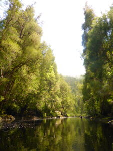 Gordon River Splits | Wild Exposure Inc