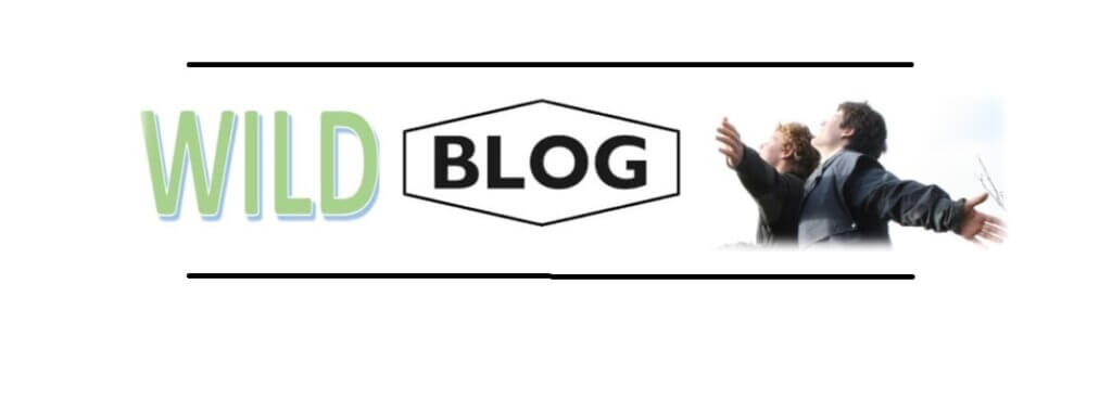 Wild Blog | Wild Exposure Inc