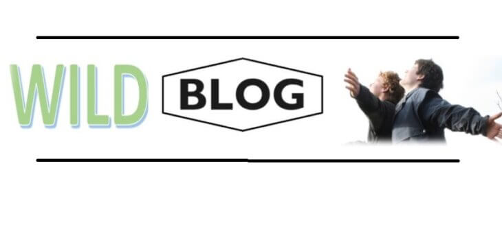 Blog | Wild Exposure Inc
